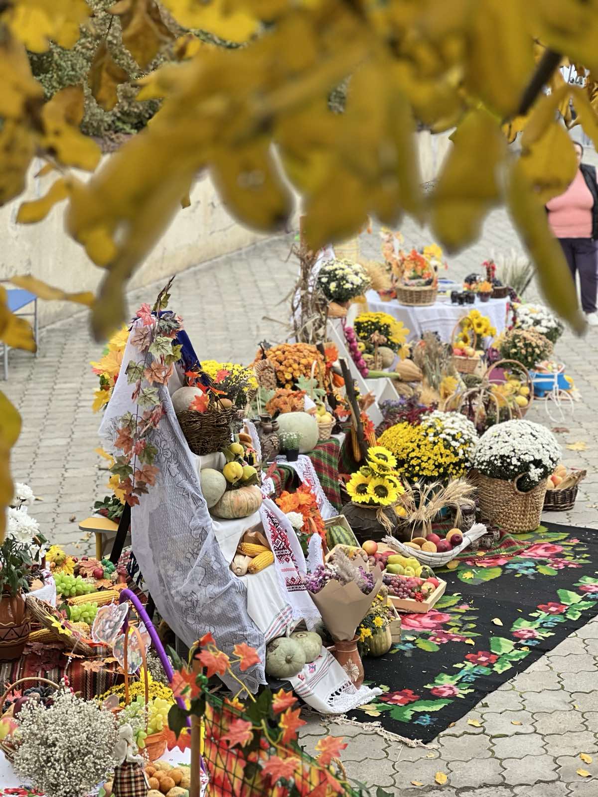 изображение_viber_2025-10-15_12-58-00-651