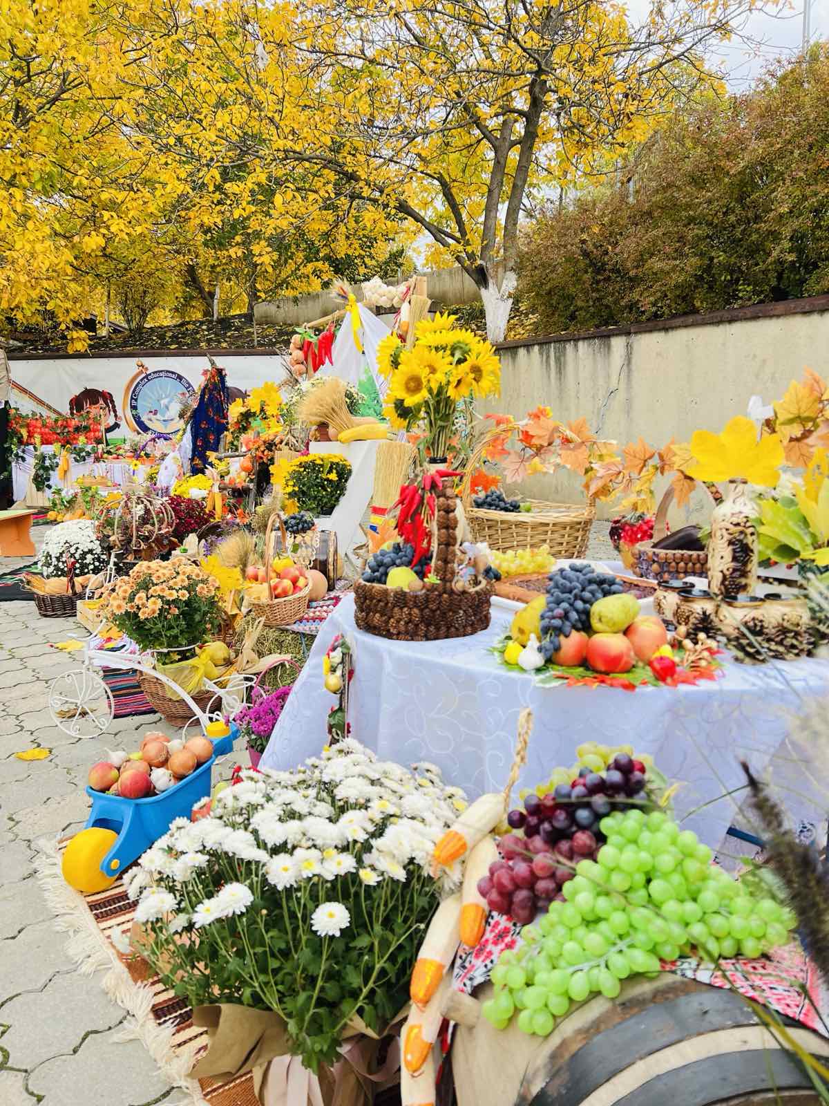 изображение_viber_2025-10-15_12-58-00-744