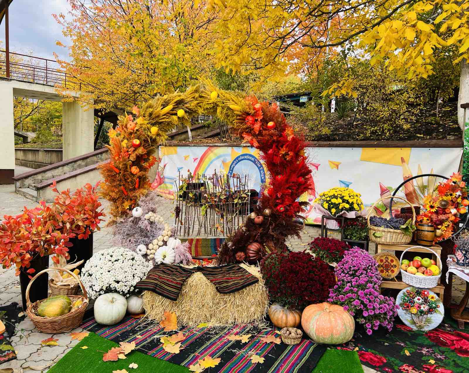 изображение_viber_2025-10-15_12-58-24-960