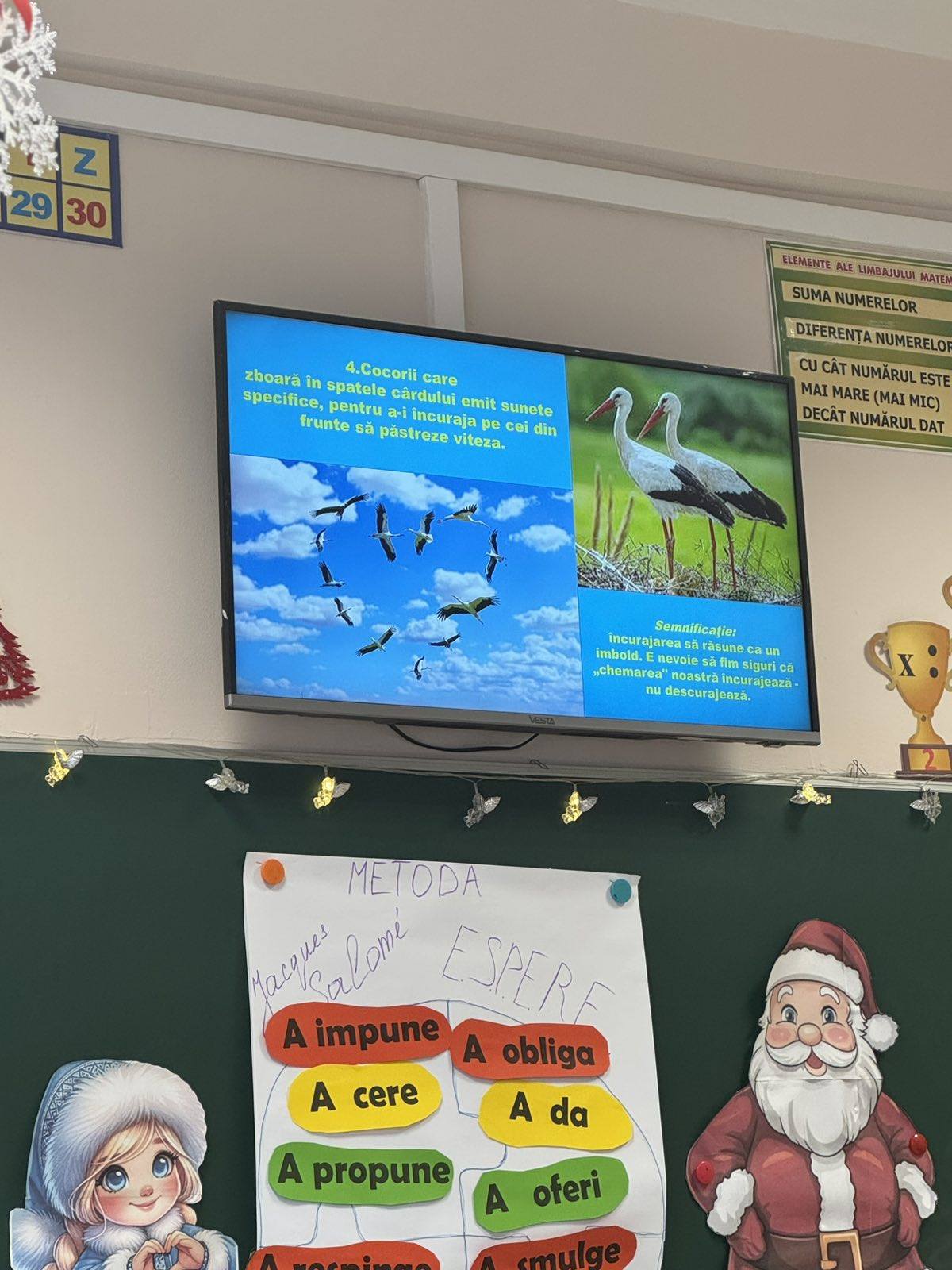 606875877_1395355968953873_6572702414018040519_n