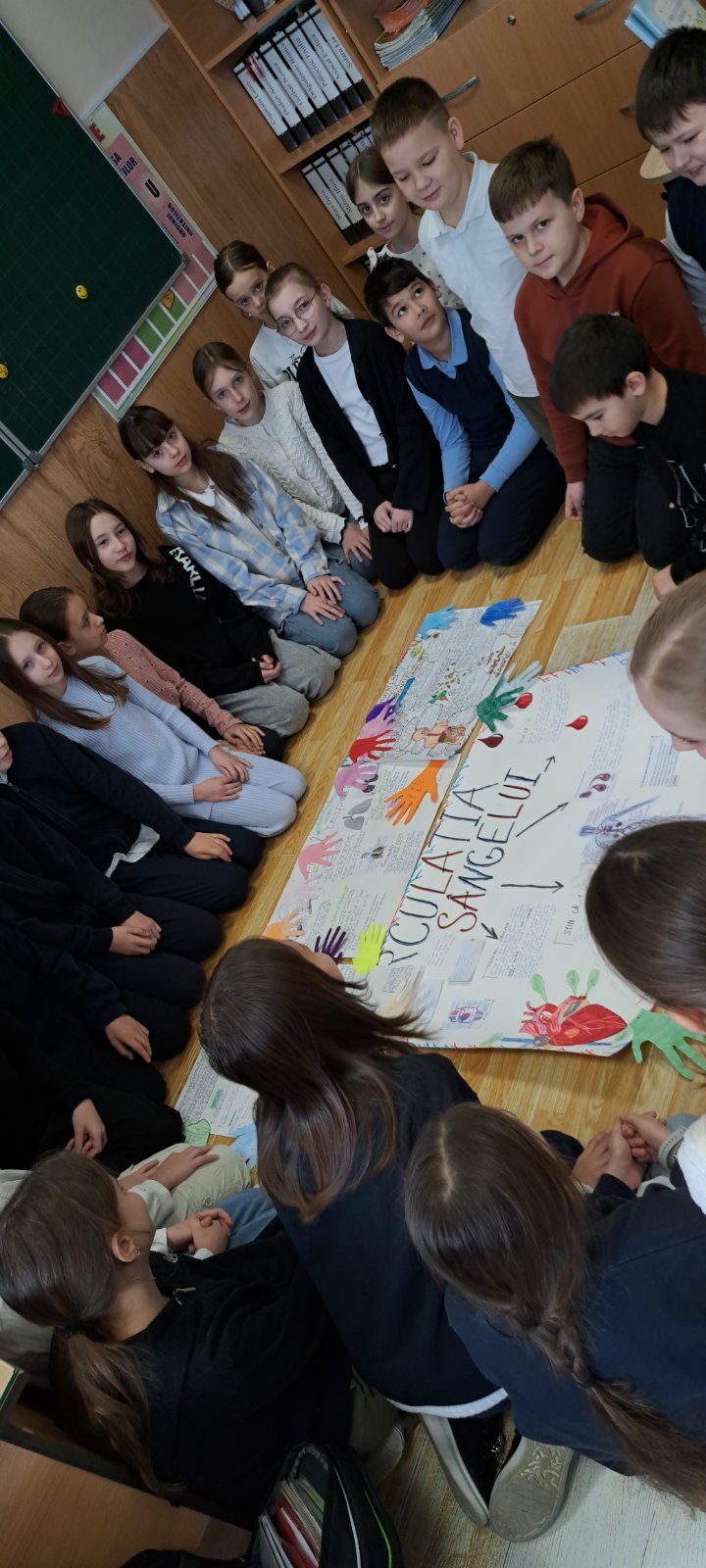 IMG-75757e5315155f0fcfe1d11735506e01-V