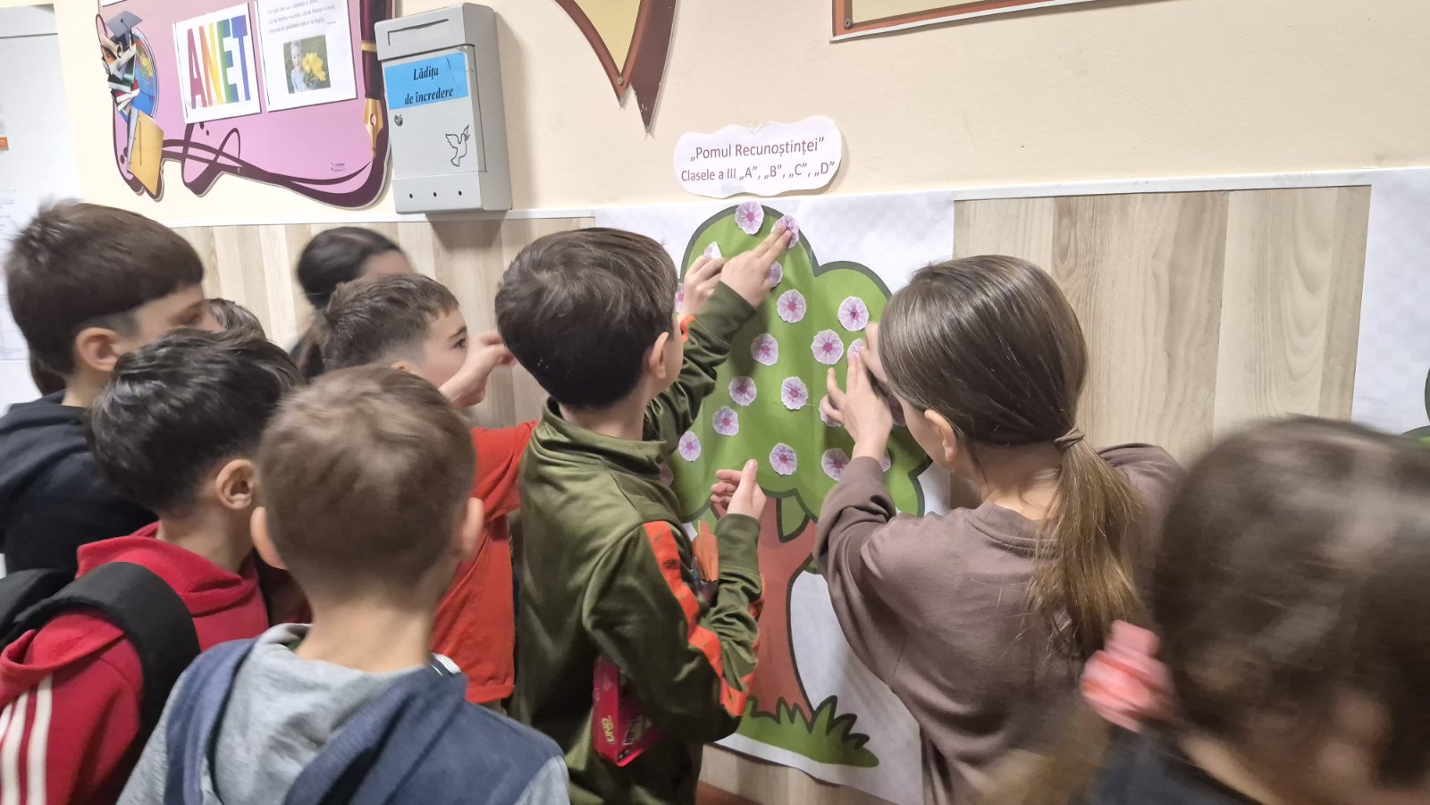 viber_image_2026-03-13_11-22-16-441