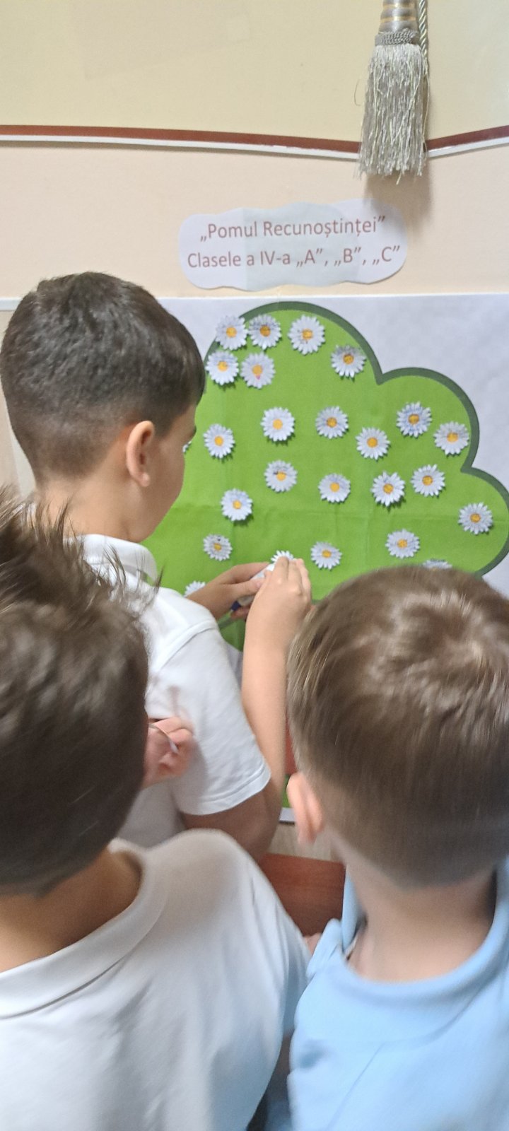 viber_image_2026-03-13_12-18-00-725