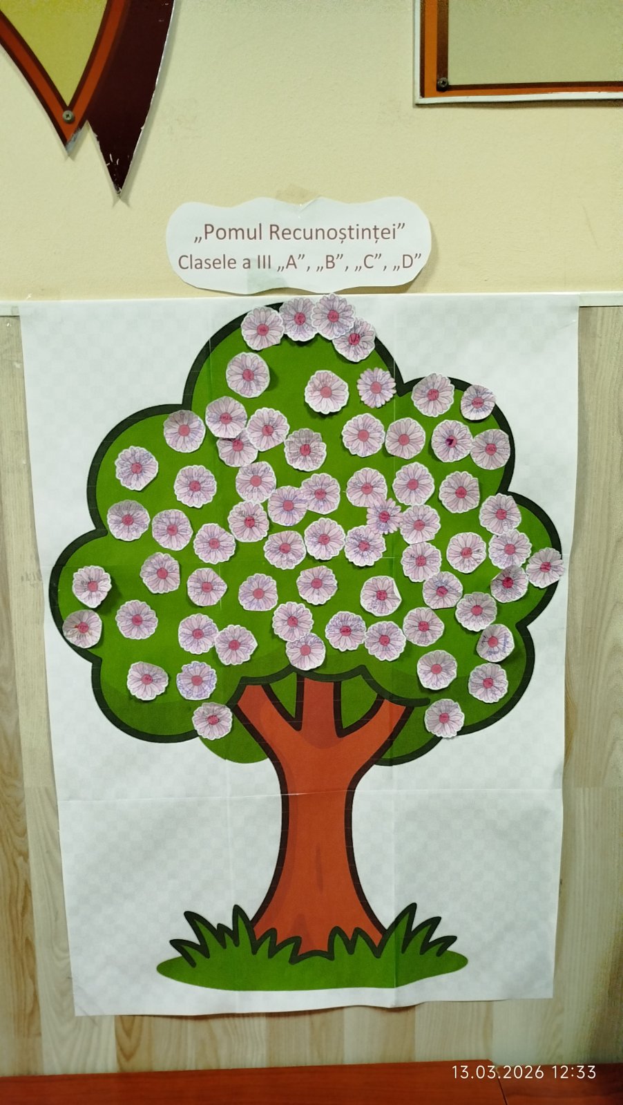 viber_image_2026-03-13_15-57-20-062