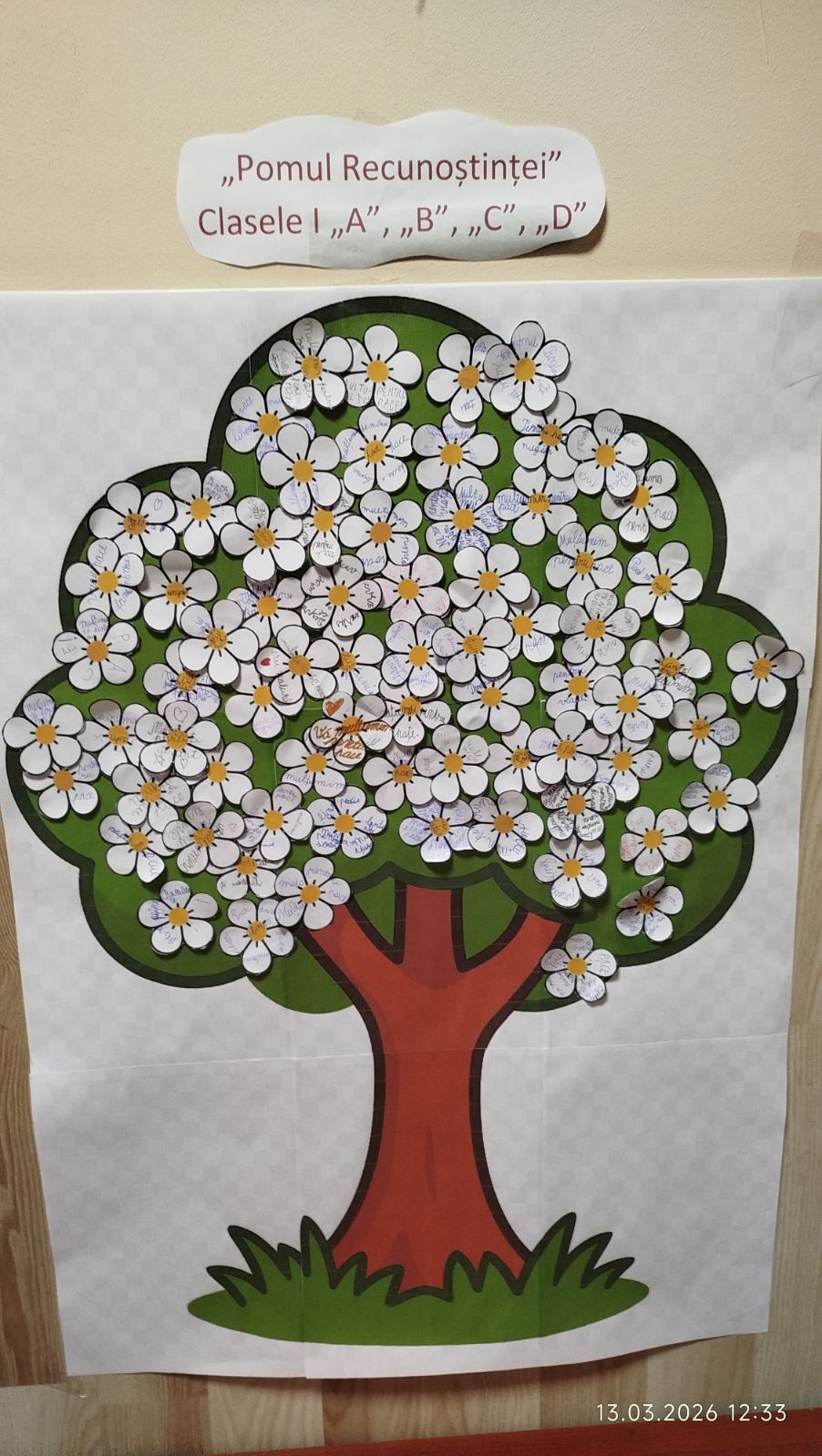 viber_image_2026-03-13_15-57-20-247