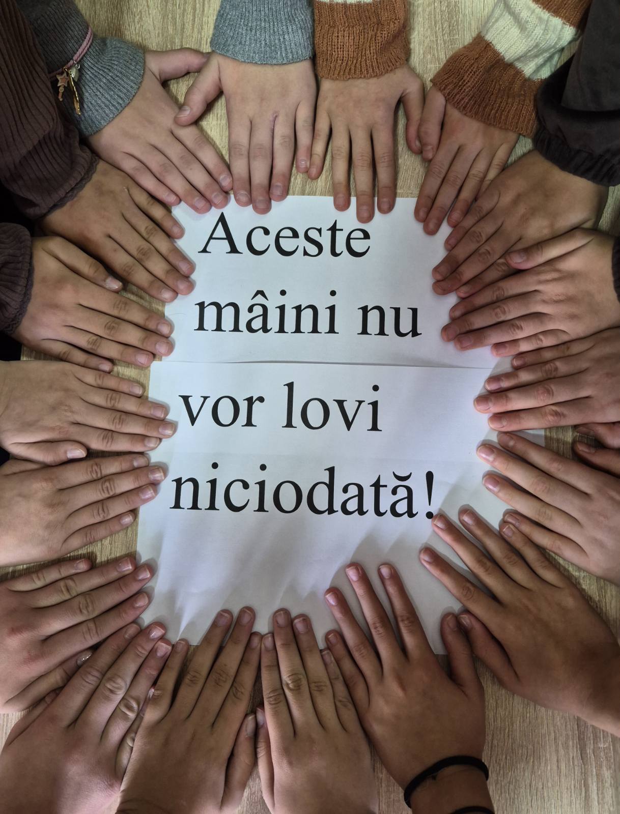 viber_image_2026-10-02_14-02-27-341