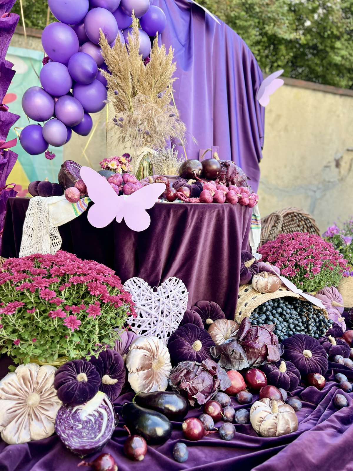 изображение_viber_2026-10-05_10-41-31-101