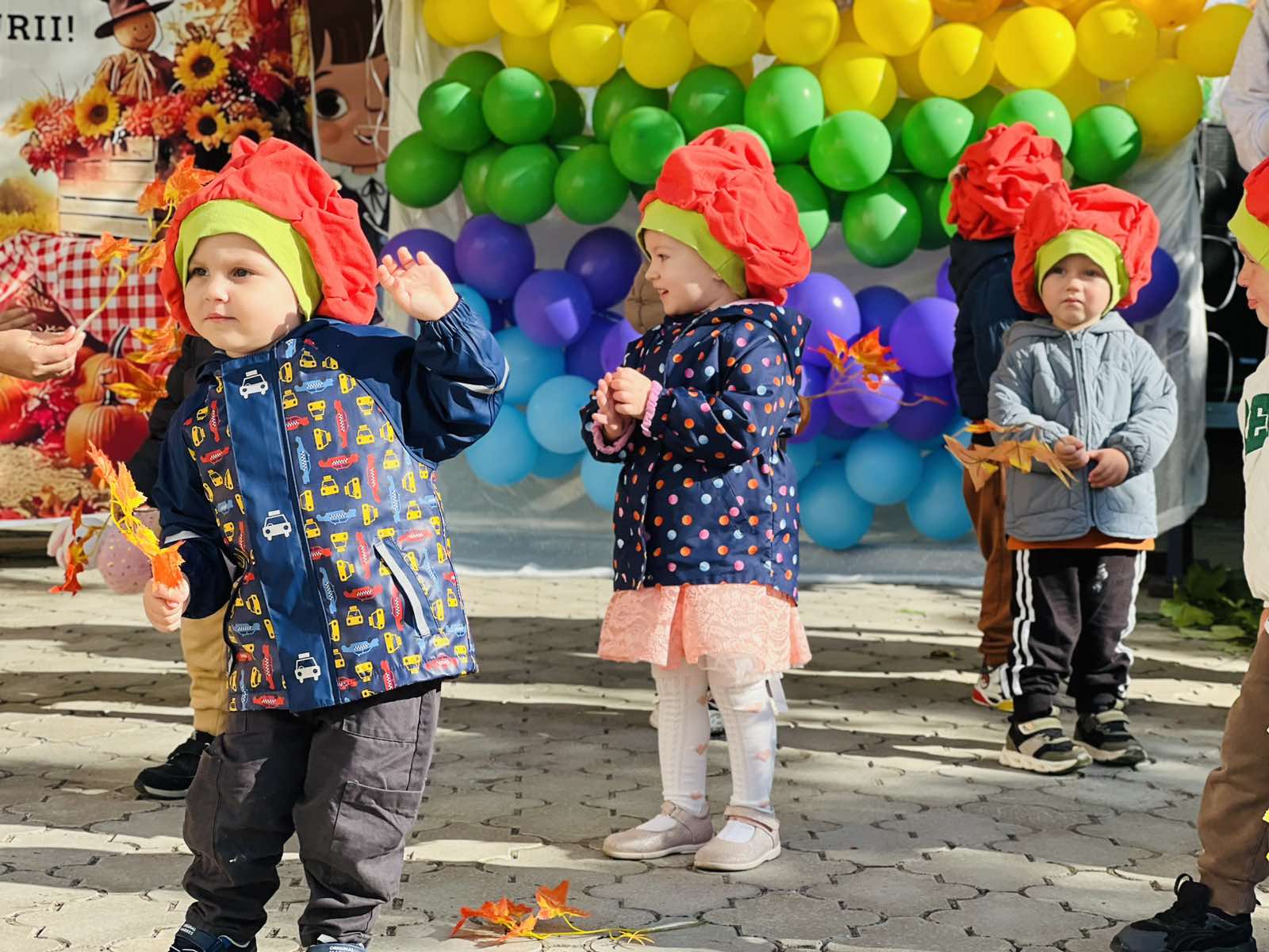 изображение_viber_2026-10-05_10-41-32-217