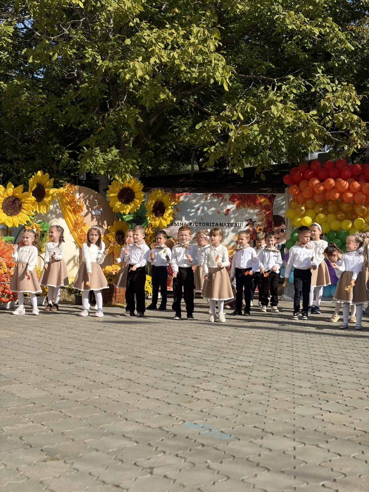 изображение_viber_2026-10-05_10-41-33-043